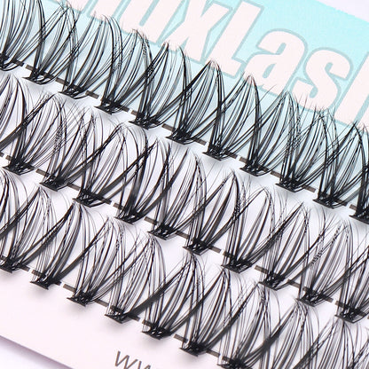 Individual Cluster DIY Eyelash Extensions 60pcs D Curl 30P/40P